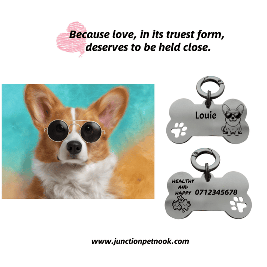 The Corgi's Journey Through Lavender