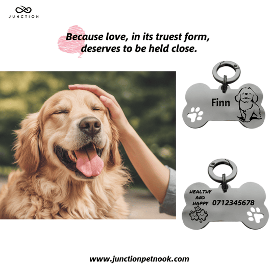 Paws and Heartbeats: Where Loyalty Whispers Forever