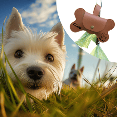 Dog Poop Bag Holder——Personalised Dog Name