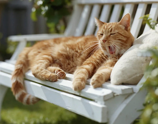 Cats get heatstroke too: 75% of cases happen in June-July — 2026 UK cat owner summer guide