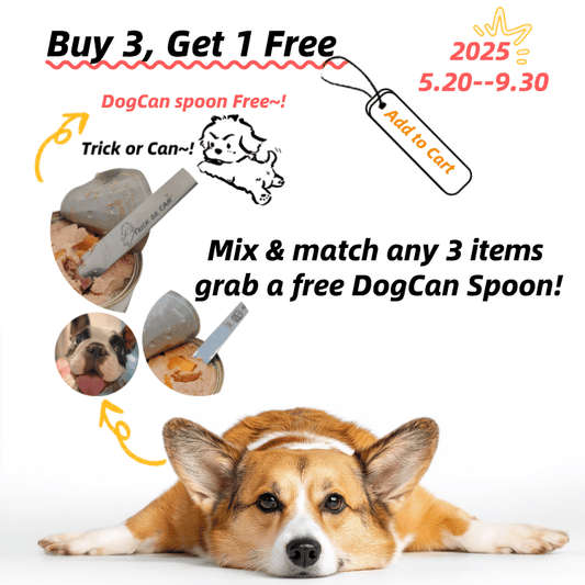 Dogcan Spoon