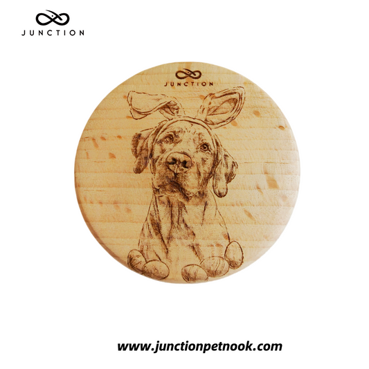 Puzzled Easter Labrador Fridge Magnet