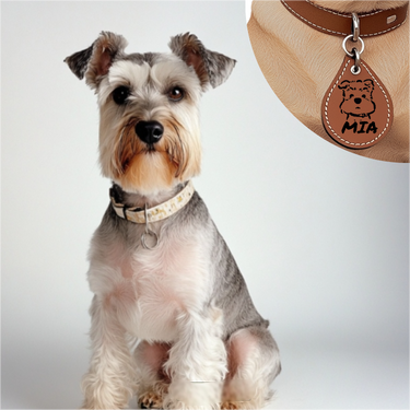 "Healthy & Happy" Dog AirTag Holder——Personalised Dog Name