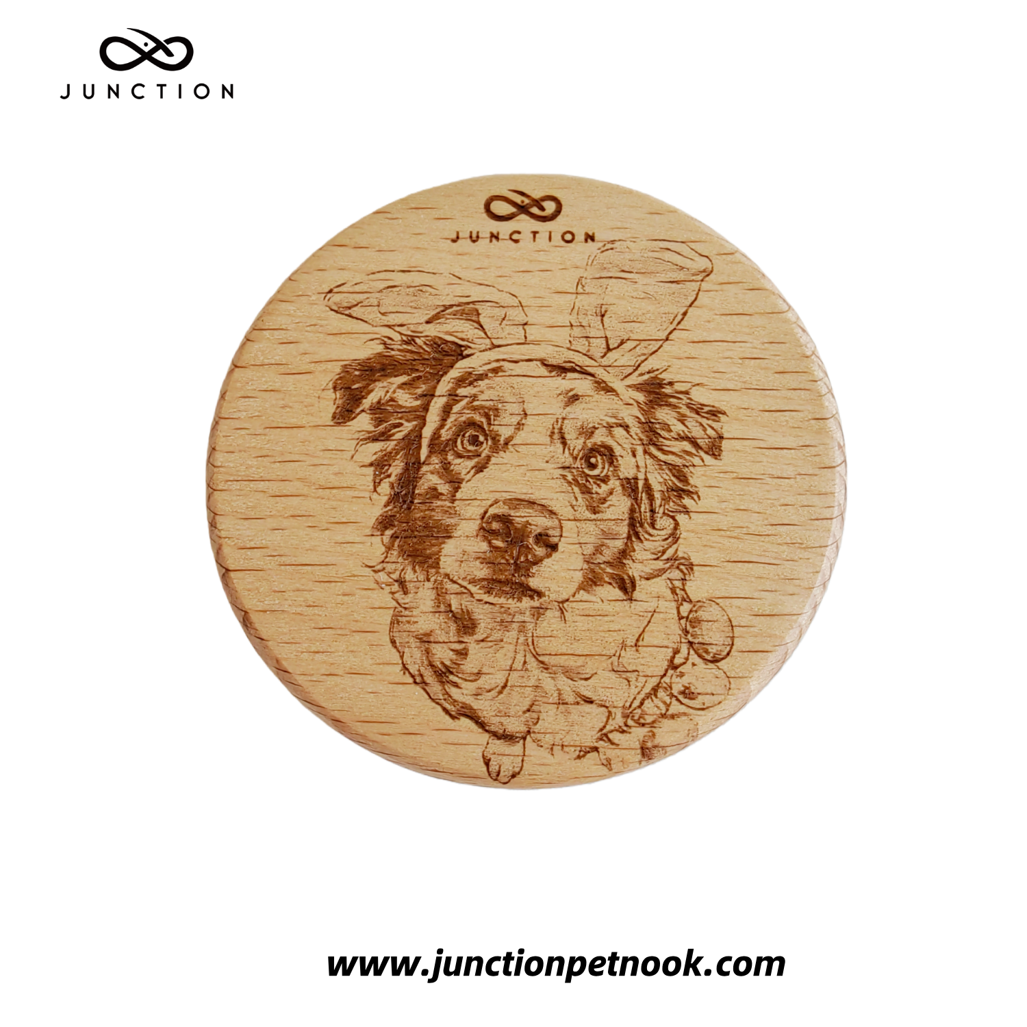 Easter Bunny Border Collie Fridge Magnet