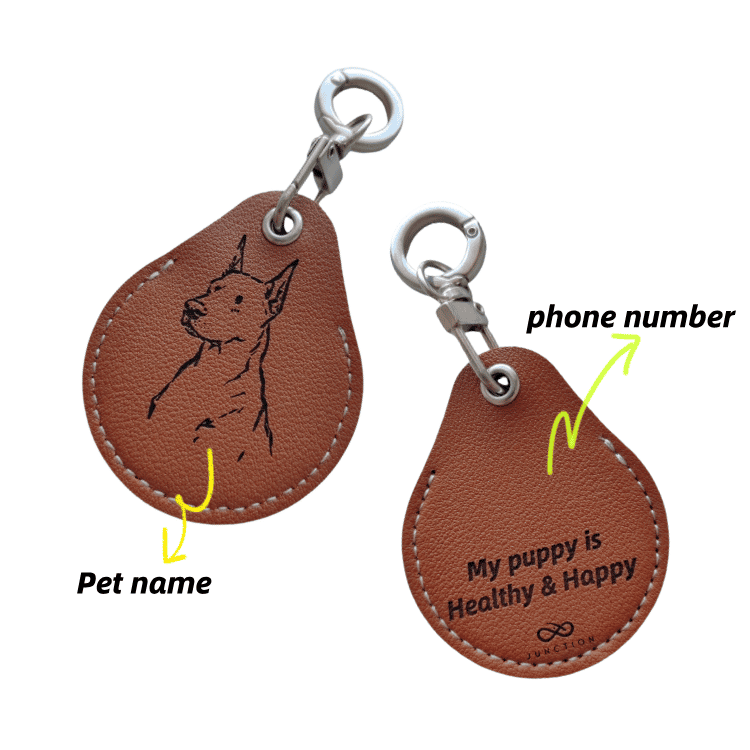 best dog airtag holder