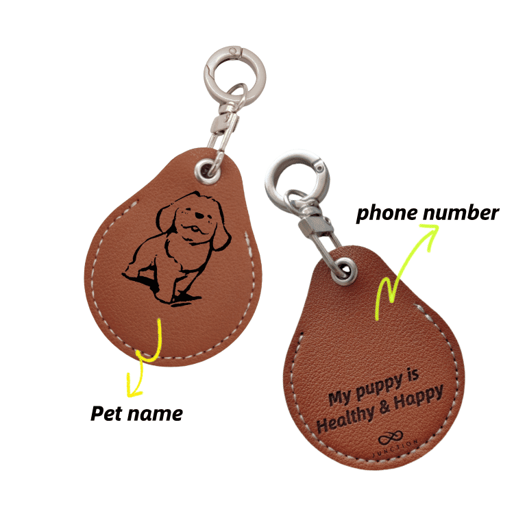 Blessing Dog Tag  uk Golden Retriever's gift