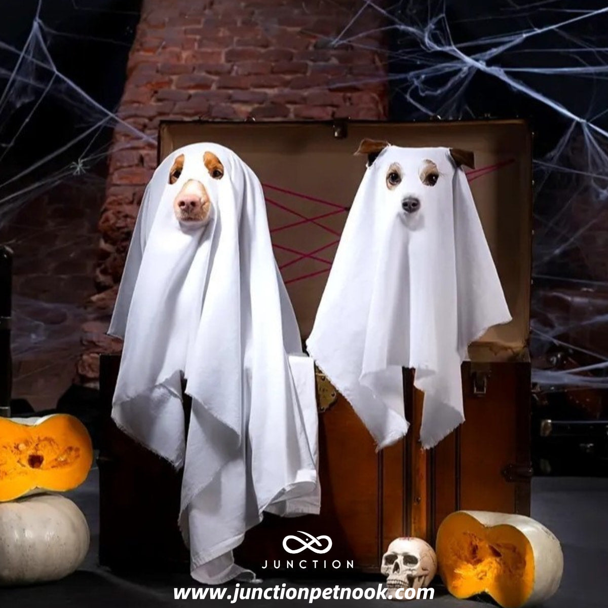Dog Ghost Costume Trick-or-Treat Dog Gear  Reusable Pet Costume
