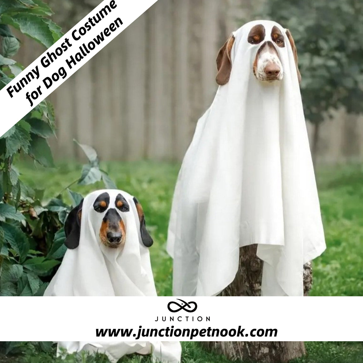 Dog Halloween Costume  Easy Wear Pet Costume