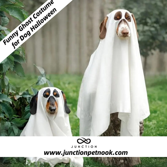 Dog Halloween Costume  Easy Wear Pet Costume