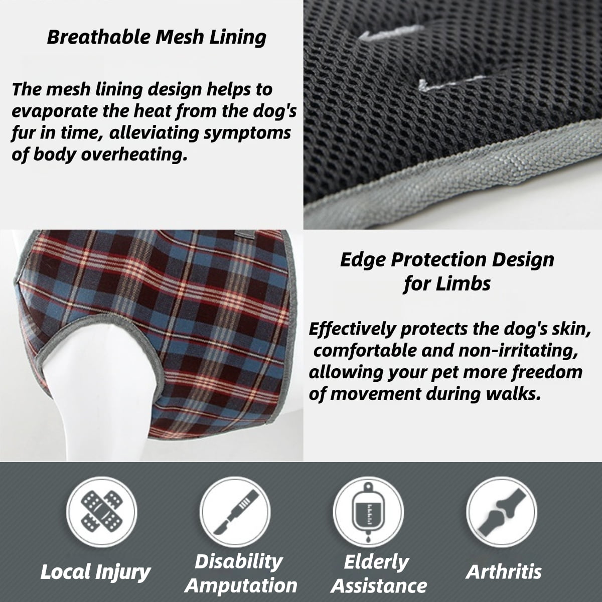 Reinforced stitching and strong materials provide safety—even for medium and large breeds