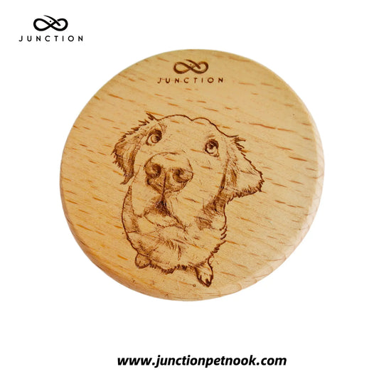 Golden Retriever Longing Look Fridge Magnet