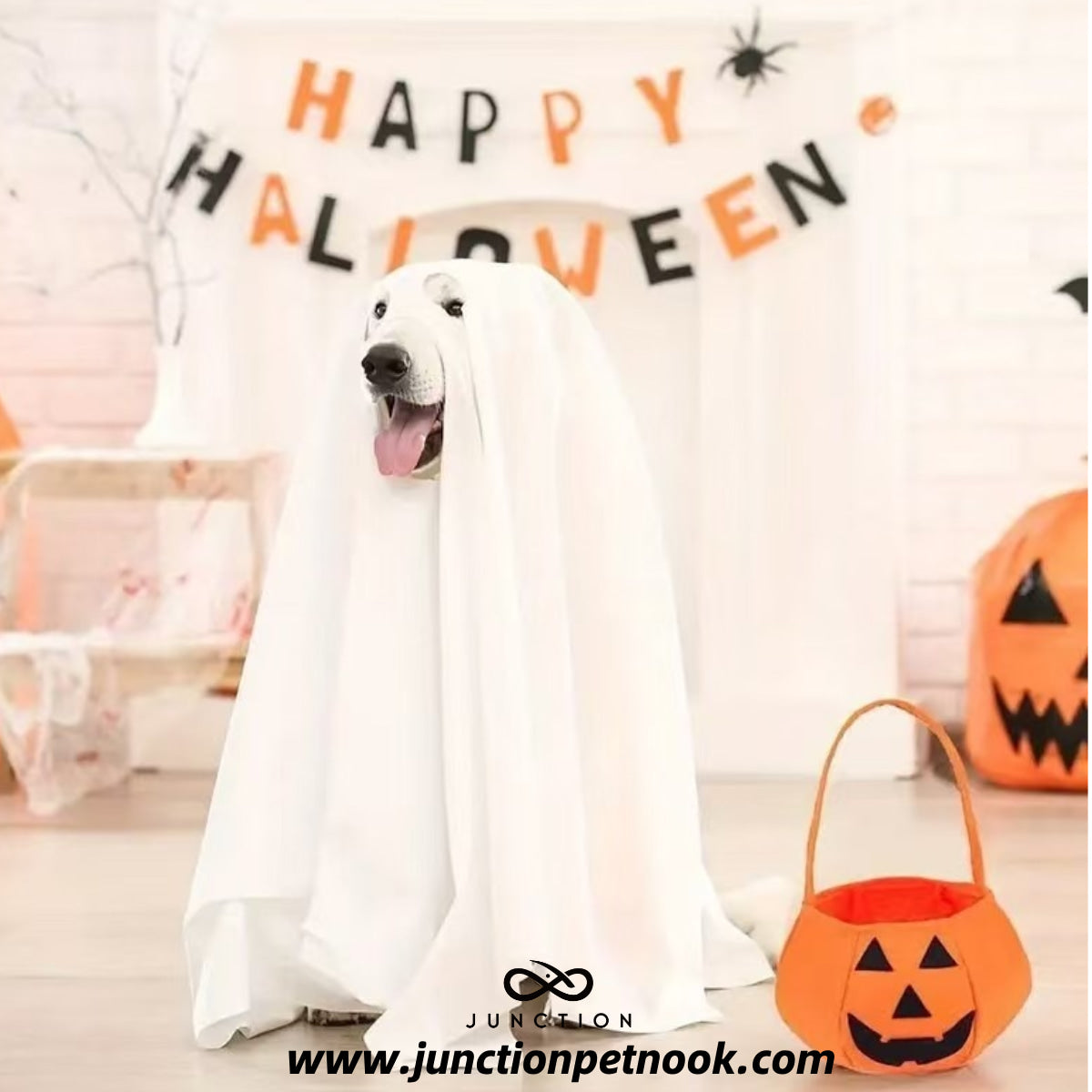 Large Dog Costume Machine Washable Pet Outfit