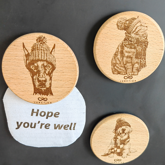 Modern Pet Decor