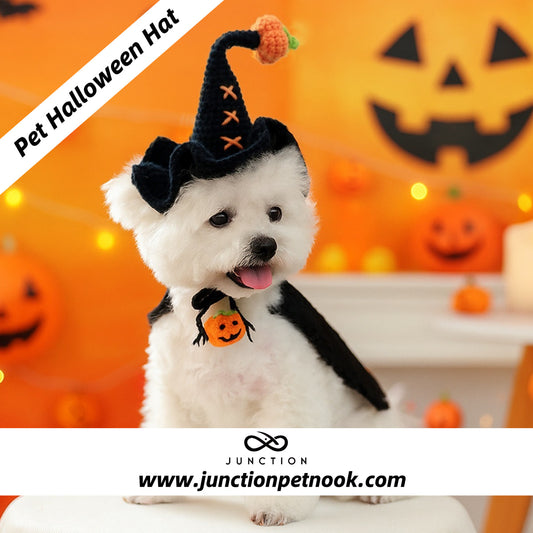 Pet Halloween Costumes hat