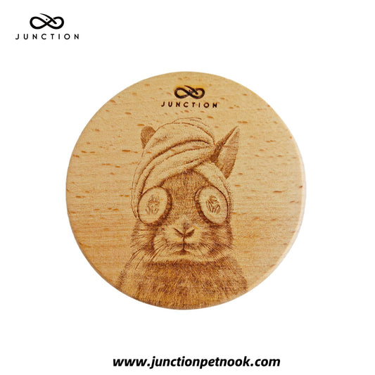 Rabbit-theme-desk-decor-wooden-magnetic-clip-zero-plastic-gift