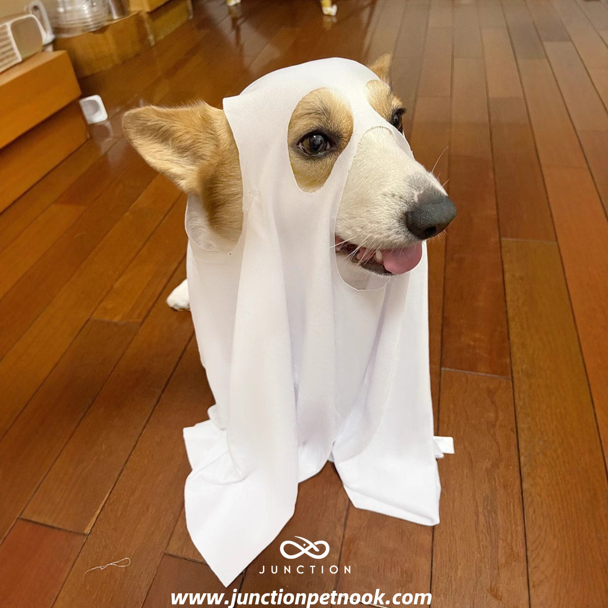 Simple Dog Costume Viral Photo Pet Prop