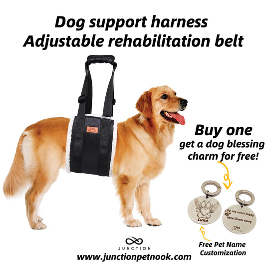 best dog harness to support back legs uk