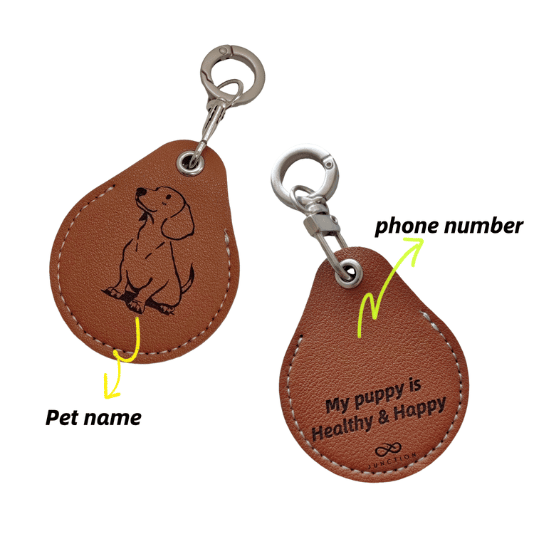 dog Healthy and Happy