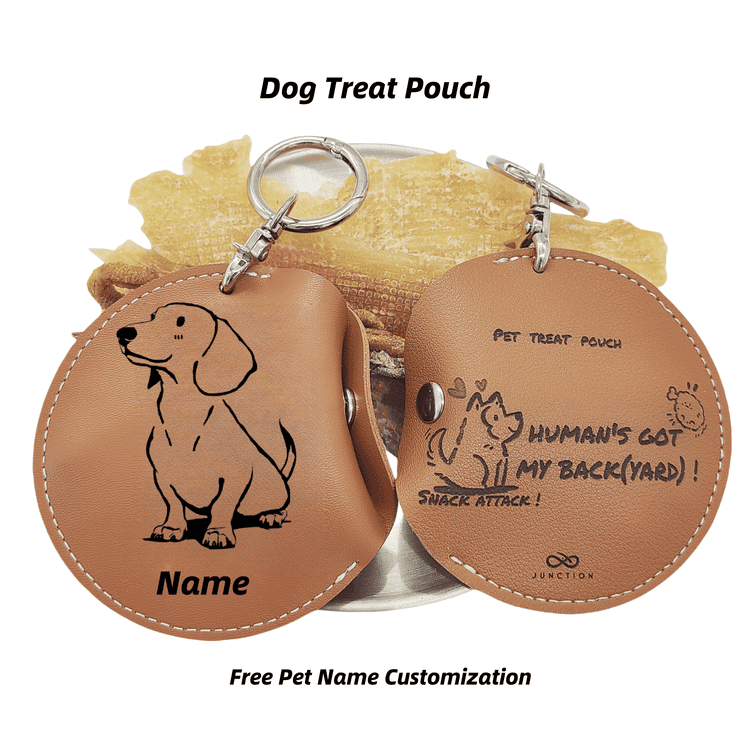 ezy dog treat pouch
