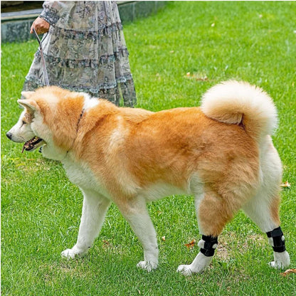 big dog knee brace for luxating patella