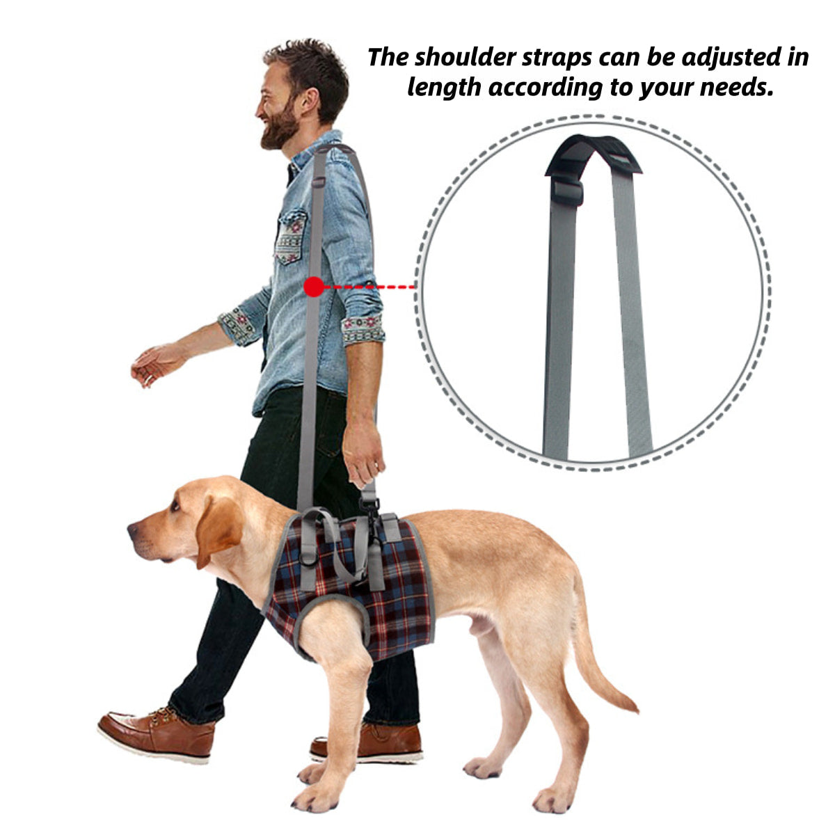 blue harness for dogs with weak front legs