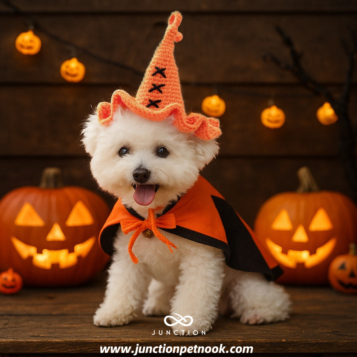creative halloween costumes for dog