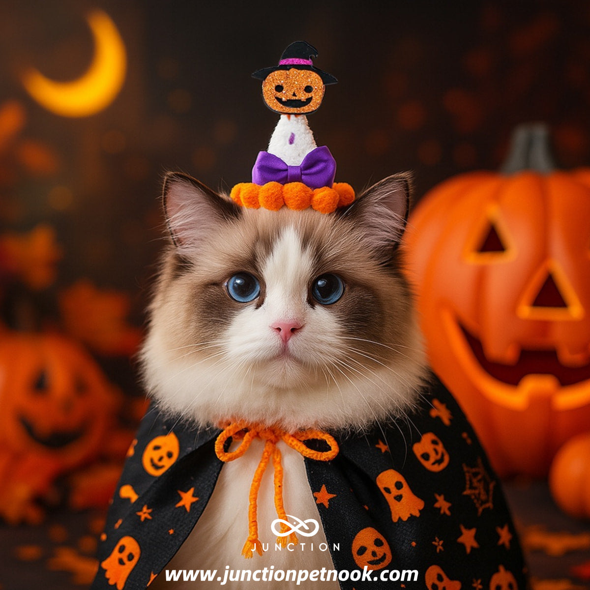 cute halloween costumes for cat