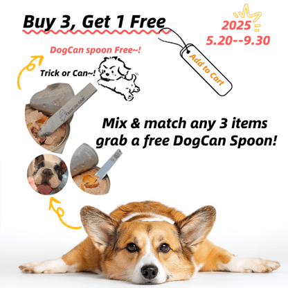 dog food can spoon UK