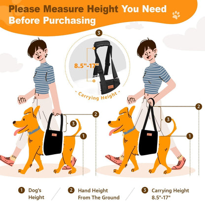 dog harness with handle for lifting