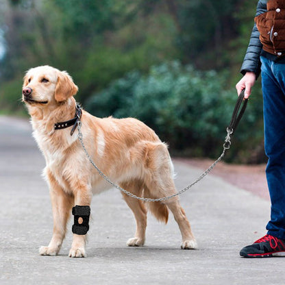 dog hip and knee brace