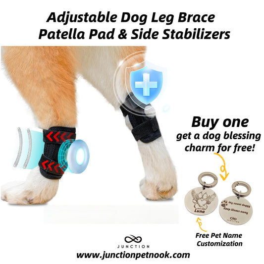 dog knee brace for luxating patella