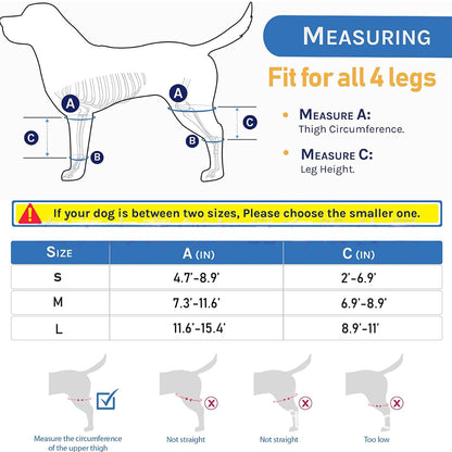 dog knee brace petsmart size 
