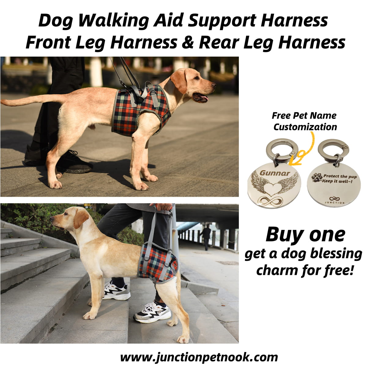dog support harness for back legs