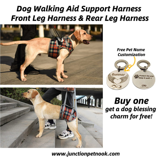 dog support harness for back legs