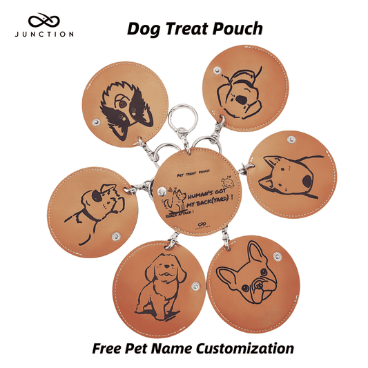 dog treat carrying pouch cute  and custom name UK
