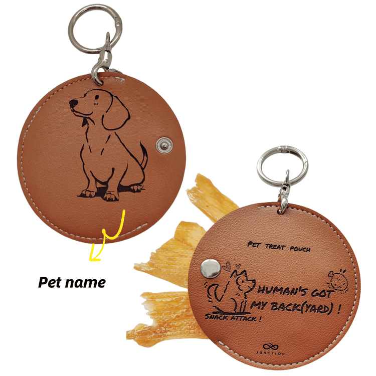 dog treat pouch attach to leash