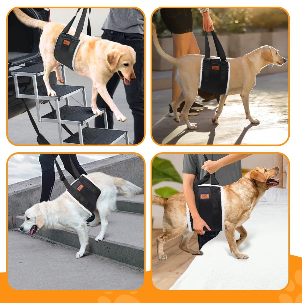 harness for dogs with hip problems