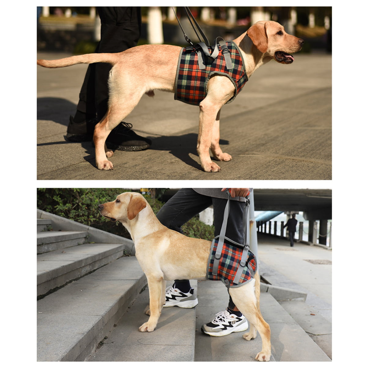 red harness for dogs with weak back legs